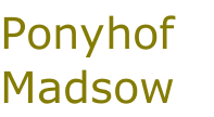Ponyhof Madsow